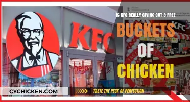 KFC's Three Free Buckets: Fact or Fiction?