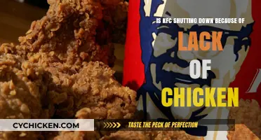 KFC's Chicken Crisis: Is the Chain Closing Down?