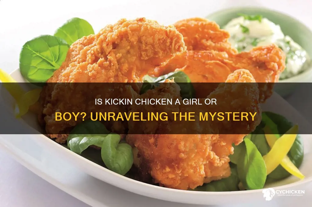 is kickin chicken a girl or boy