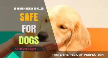 Is Knorr Chicken Bouillon Safe for Dogs? What You Need to Know