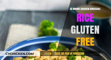 Is Knorr Chicken Broccoli Rice Gluten-Free? A Quick Guide