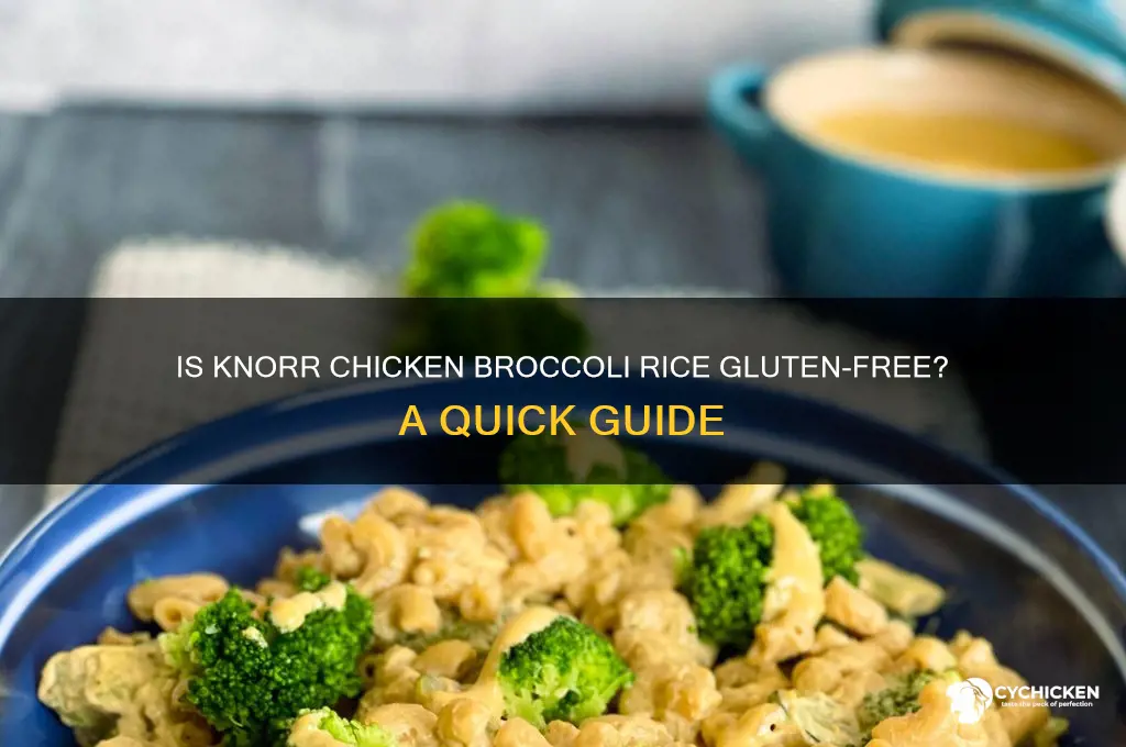 is knorr chicken broccoli rice gluten free