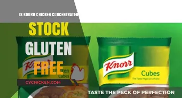 Is Knorr Chicken Concentrated Stock Gluten-Free? A Clear Answer