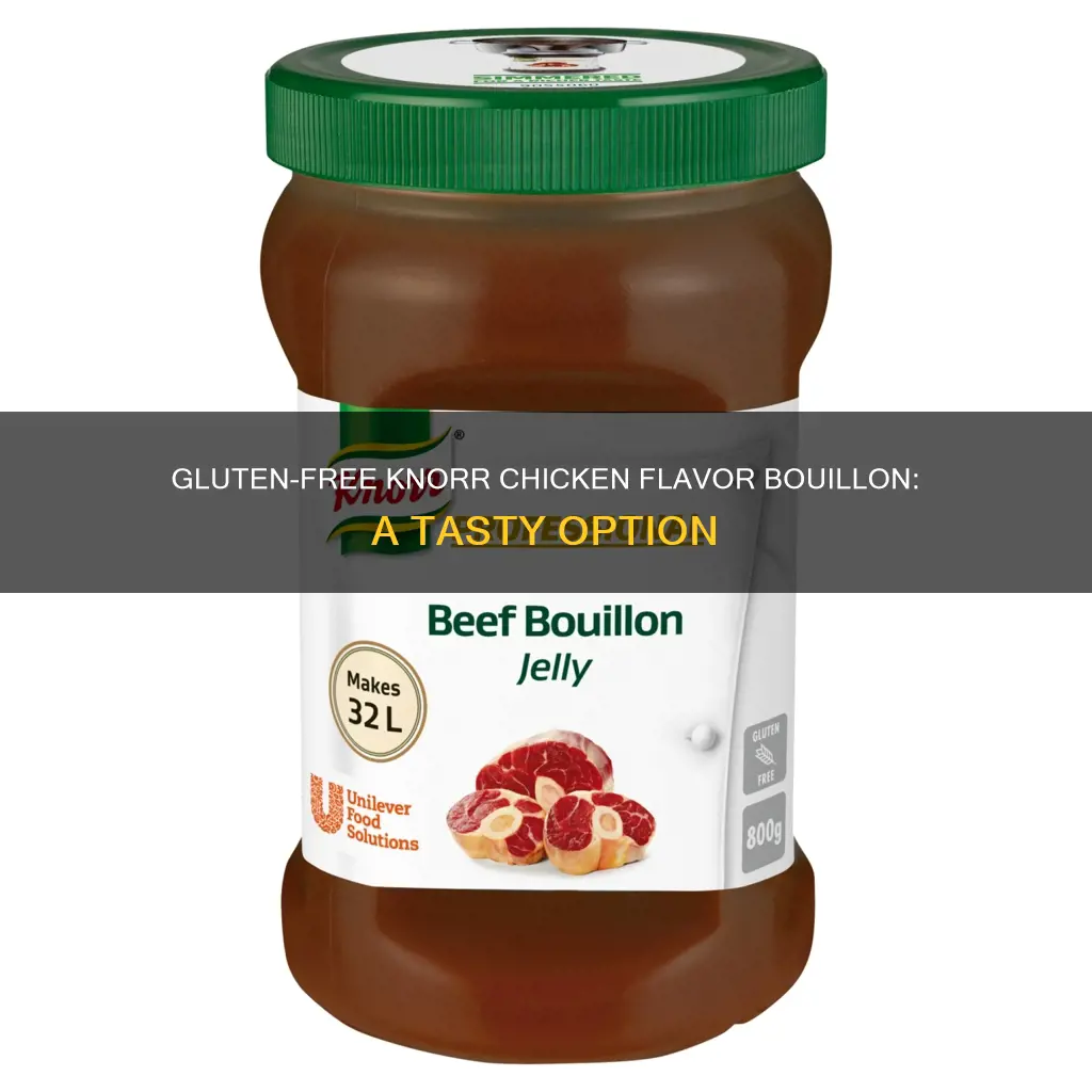 is knorr chicken flavor bouillon gluten-free the gfb the