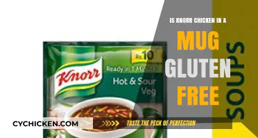 Is Knorr Chicken in a Mug Gluten-Free? Find Out Here