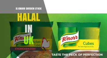 Is Knorr Chicken Stock Halal in the UK? Find Out Here