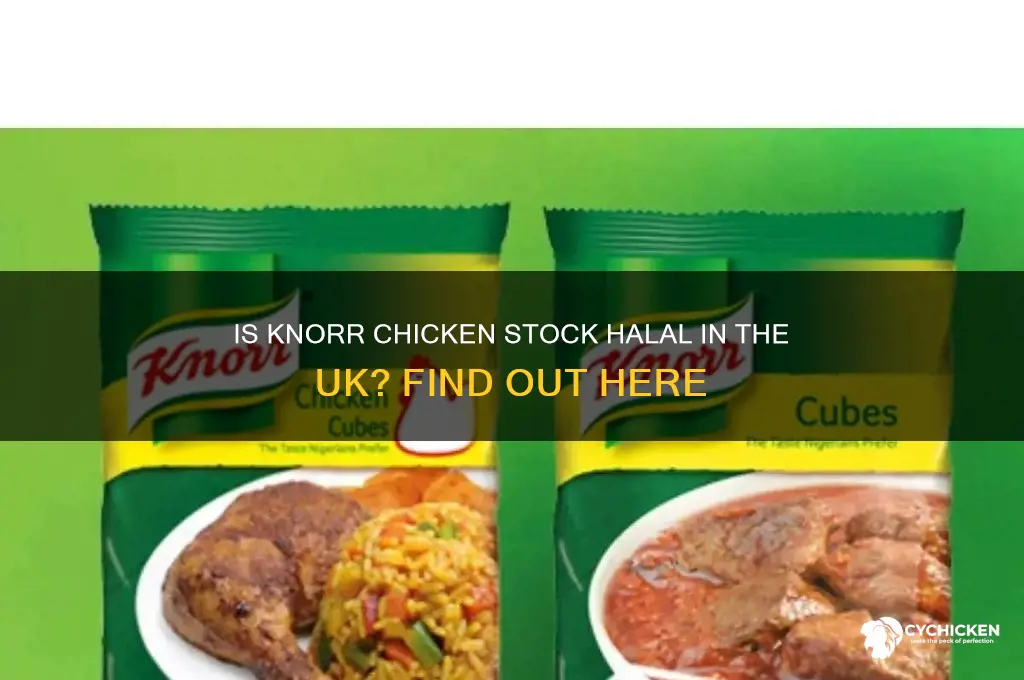 is knorr chicken stock halal in uk