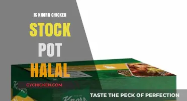 Exploring the Halal Status of Knorr Chicken Stock Pot