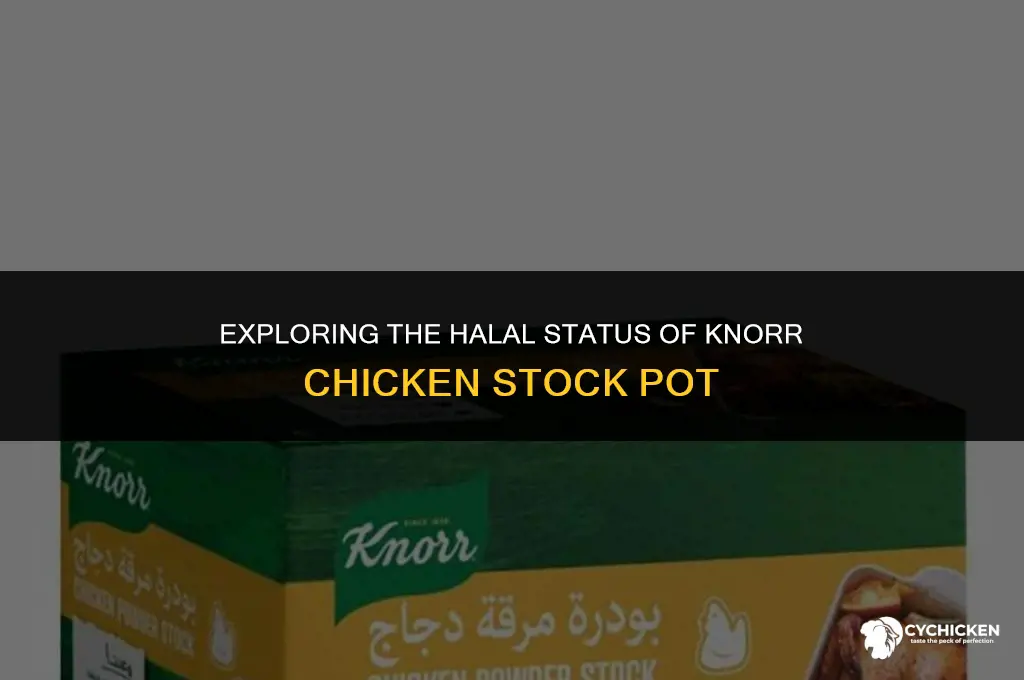 is knorr chicken stock pot halal