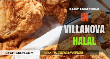 Is Villanova's Krispy Krunchy Chicken Halal? Find Out Here