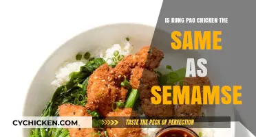 Kung Pao Chicken vs. Semamse: Unraveling the Culinary Confusion