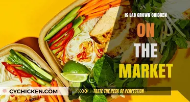 Is Lab-Grown Chicken Available for Purchase Yet? Exploring the Market