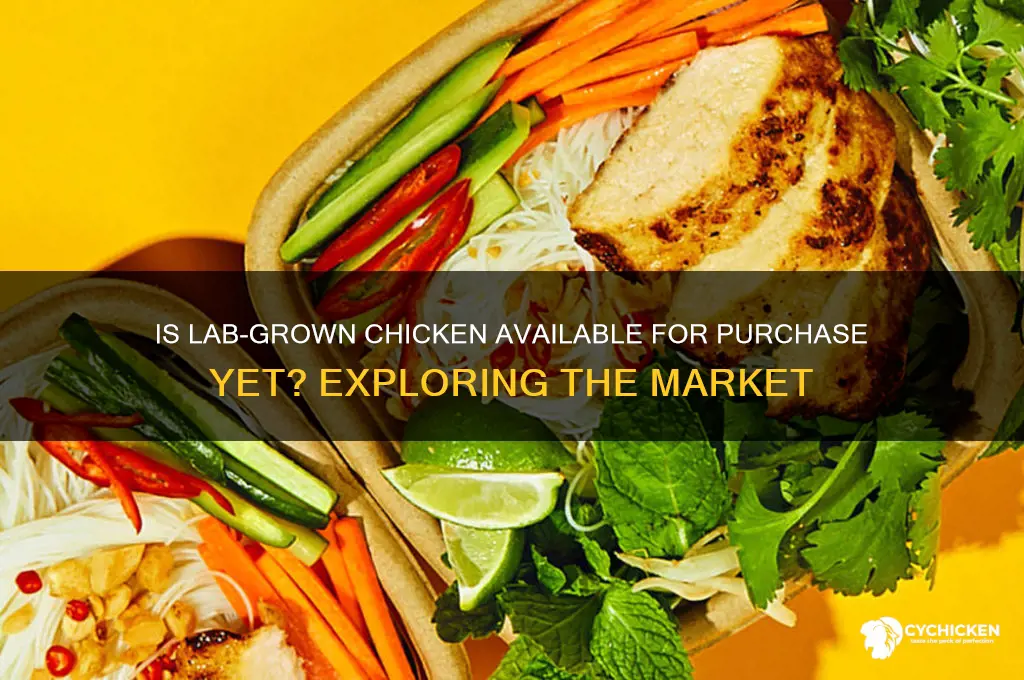 is lab grown chicken on the market