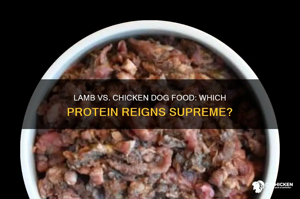 is lamb dog food better than chicken