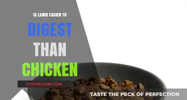 Lamb vs. Chicken: Which Protein is Easier on Your Digestive System?