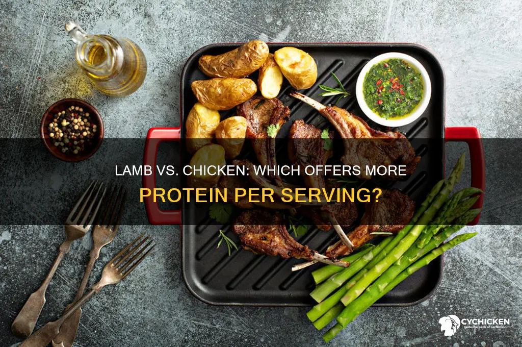 is lamb high in protein than chicken