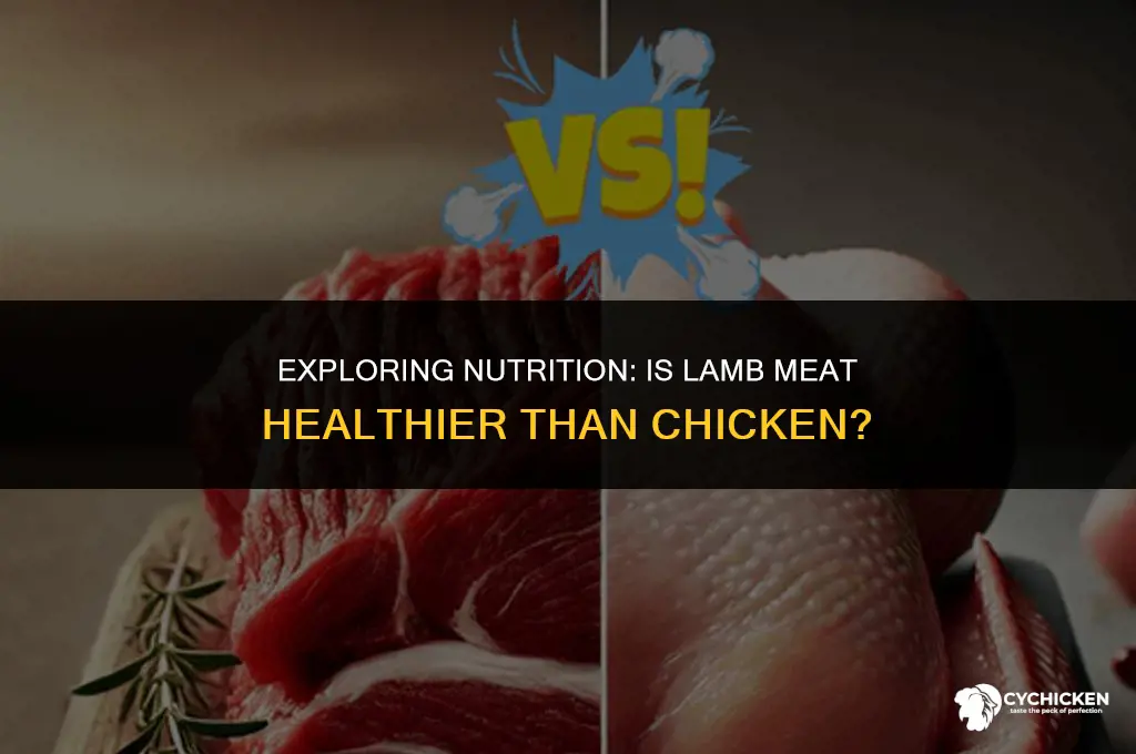 is lamb meat healthier than chicken
