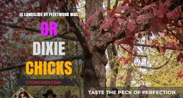 Landslide: Fleetwood Mac's Masterpiece or Dixie Chicks' Cover?