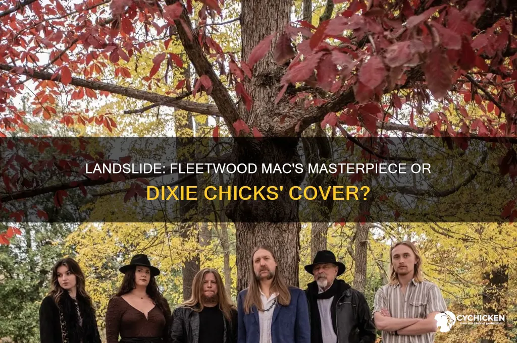is landslide by fleetwood mac or dixie chicks