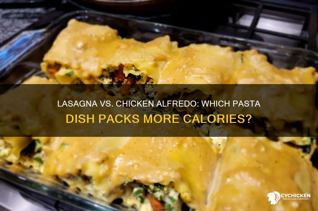 is lasagna or chicken alfredo more fattening