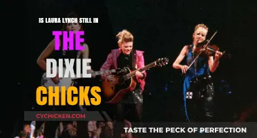 Laura Lynch's Current Status with the Dixie Chicks: An Update