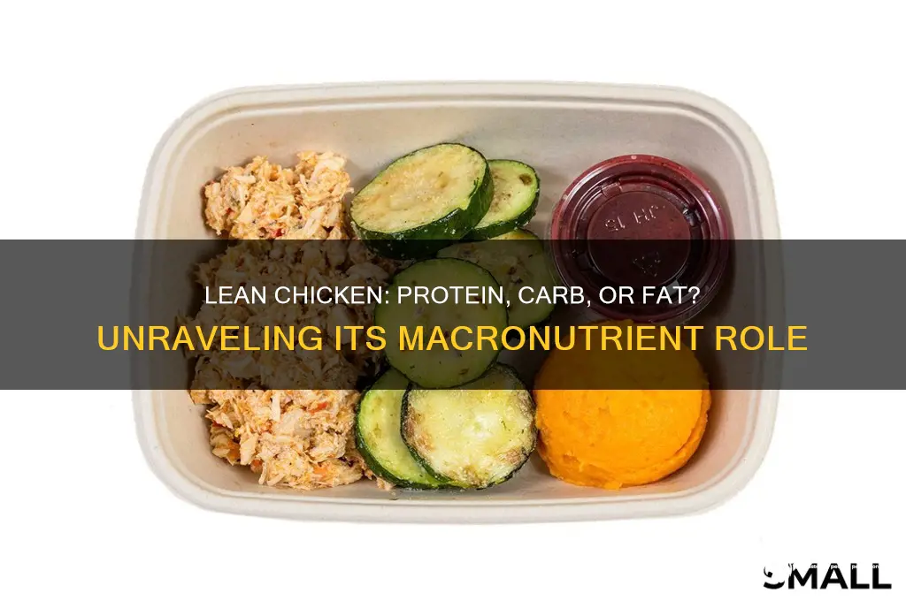 is lean chicken a protein carbohydrate or lipid