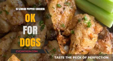 Can Dogs Eat Lemon Pepper Chicken? Safety Tips and Alternatives