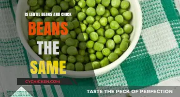 Lentils vs Chickpeas: Unraveling the Differences Between These Legumes