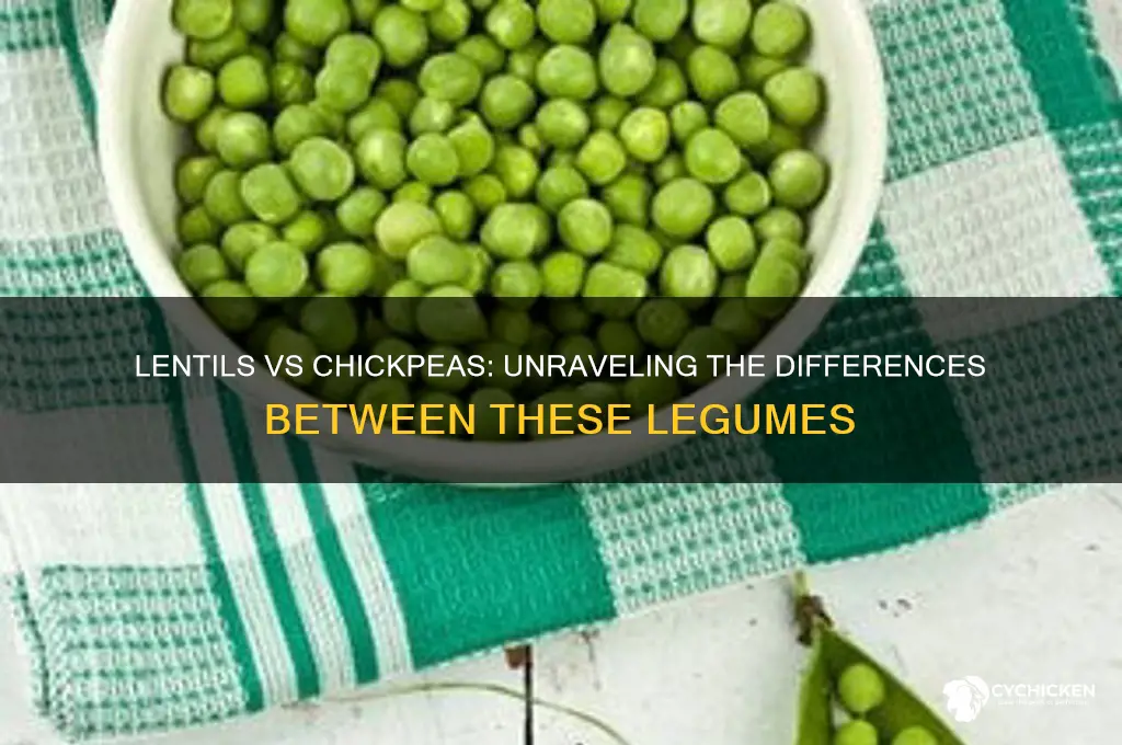 is lentil beans and chick beans the same