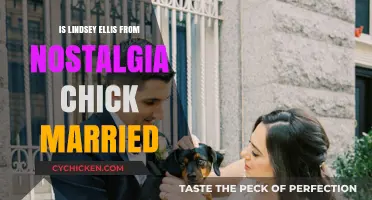 Is Lindsey Ellis from Nostalgia Chick Married? The Truth Revealed