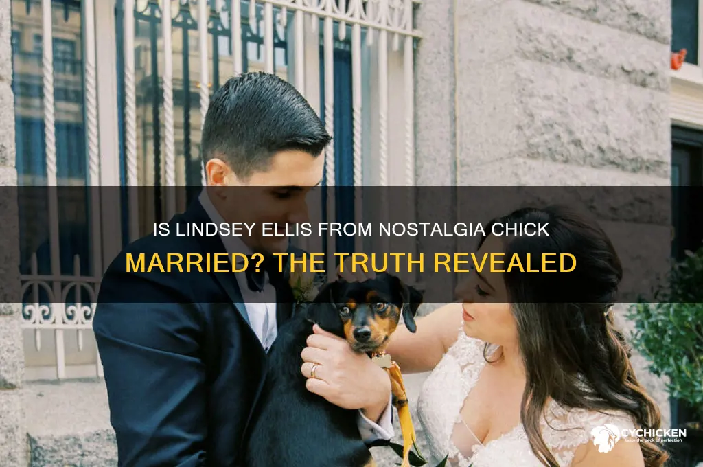 is lindsey ellis from nostalgia chick married