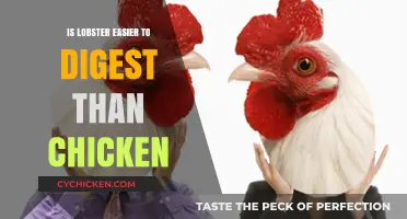 Lobster vs. Chicken: Which Protein is Easier on Your Digestive System?