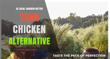 Local Chicken vs. Alternatives: Which is Healthier and More Sustainable?