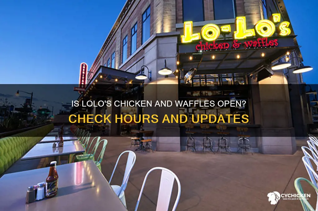 is lolo