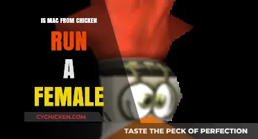 Is Mac from Chicken Run a Female? Unraveling the Mystery