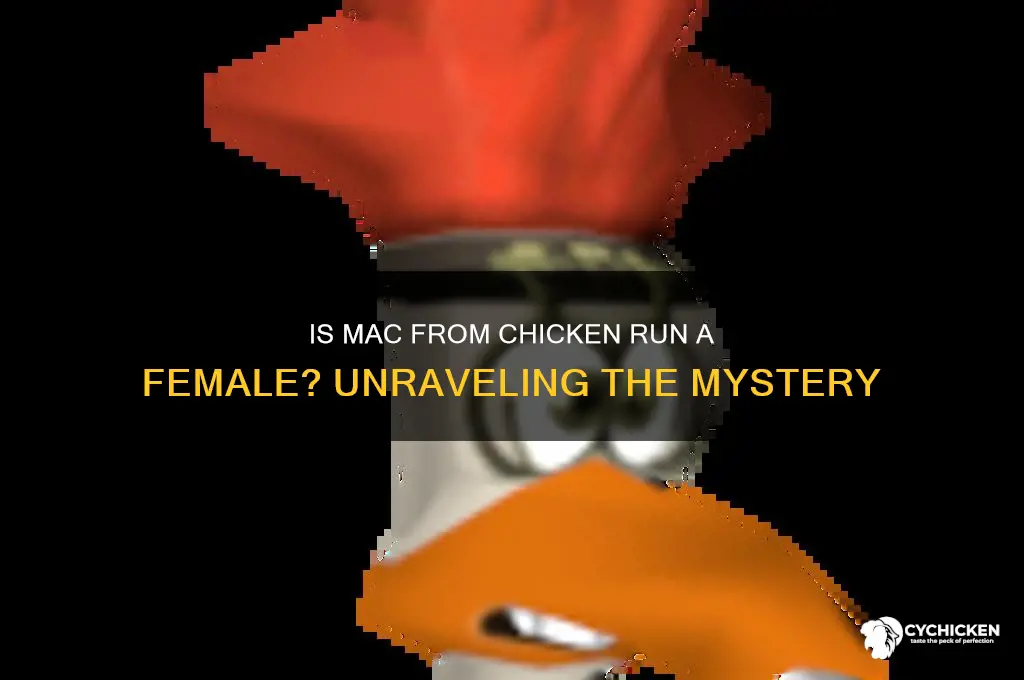 is mac from chicken run a female