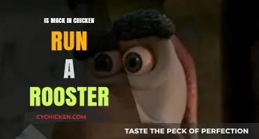 Is Mack from Chicken Run Actually a Rooster? Unraveling the Mystery