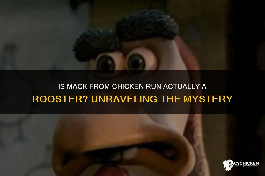 is mack in chicken run a rooster
