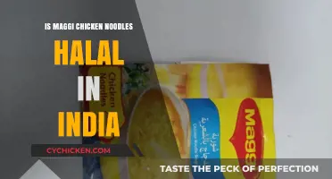 Is Maggi Chicken Noodles Halal in India? Exploring the Facts