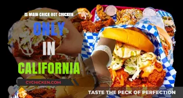 Is Main Chick's Hot Chicken a California-Exclusive Delight?