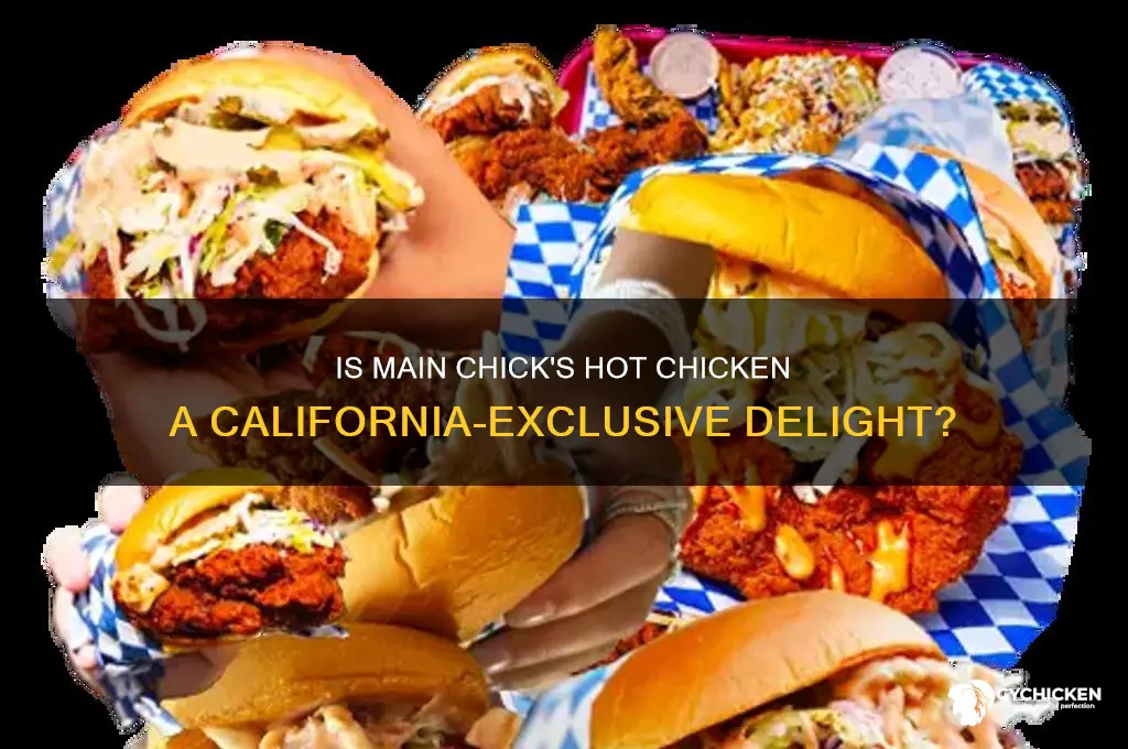is main chick hot chicken only in california