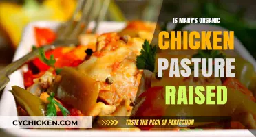 Is Mary's Organic Chicken Pasture-Raised? Unveiling the Truth