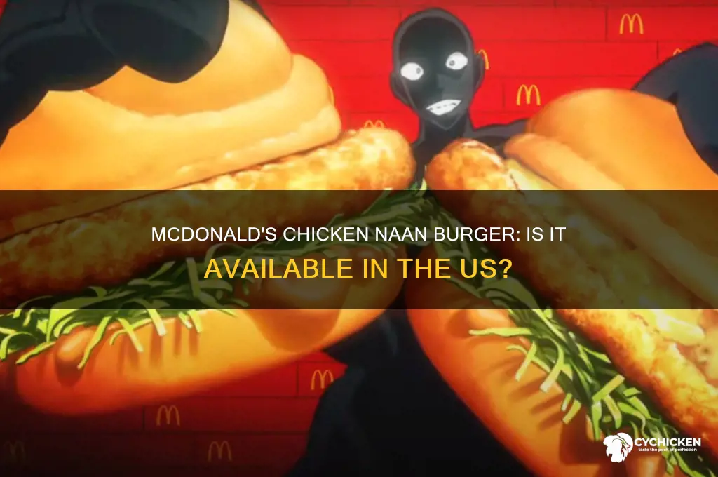 is mcdonald chicken naan burger available in us
