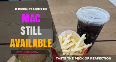 Is McDonald's Chicken Big Mac Still on the Menu?