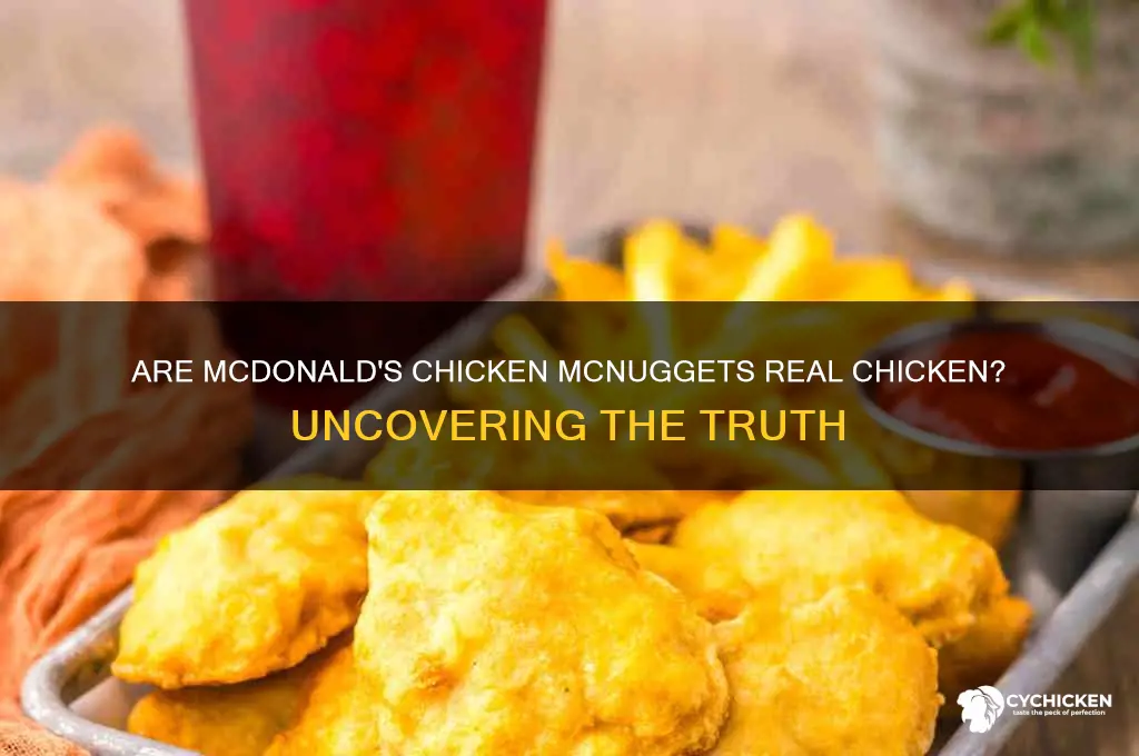 is mcdonalds chicken nuggets chicken