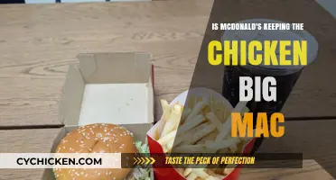 Is McDonald's Keeping the Chicken Big Mac Permanently?