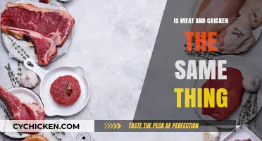 Meat vs. Chicken: Understanding the Key Differences and Similarities