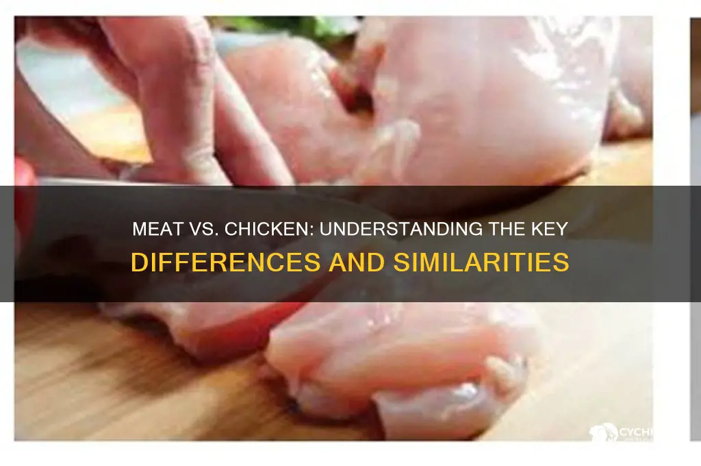 is meat and chicken the same thing