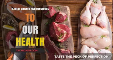 Meat, Chicken, Fish: Uncovering Health Risks and Benefits