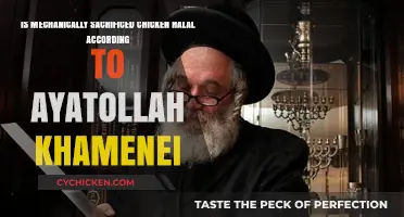 Ayatollah Khamenei's View on Mechanically Slaughtered Chicken